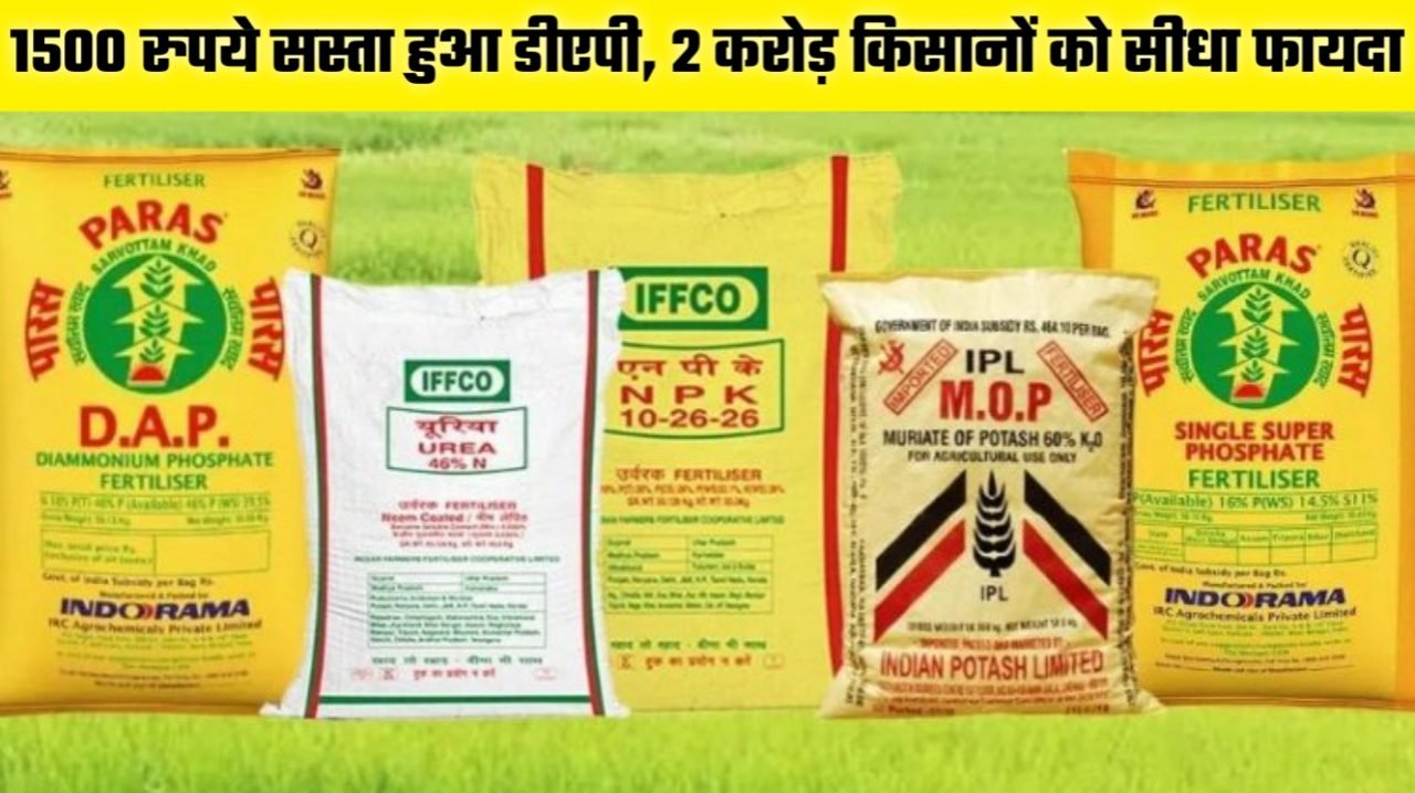 DAP Price Update 2025: 1500 रुपये सस्ता हुआ डीएपी, 2 करोड़ किसानों को सीधा फायदा