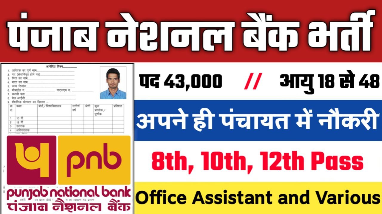PNB New Vacancy 2025 - पंजाब नेशनल बैंक भर्ती 2025, पद- 43000 - Authoritative Notice Out